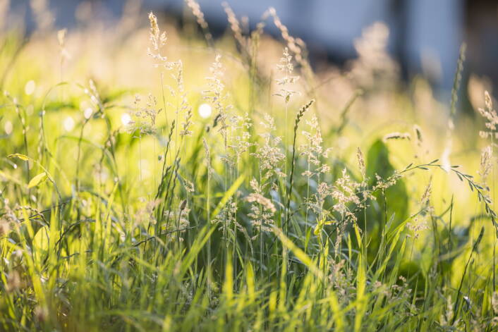 262_esther_hartmann__z722922.jpg 262_esther_hartmann__z722922.jpg